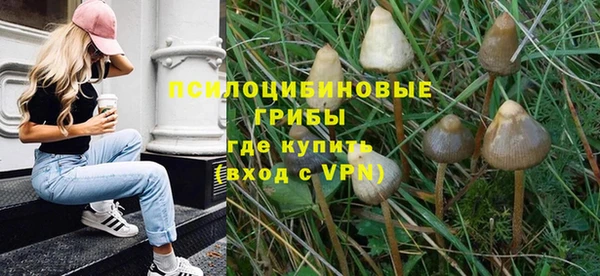 круглые Белокуриха