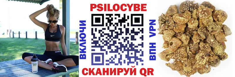Псилоцибиновые грибы MAGIC MUSHROOMS  купить наркотик  Надым 