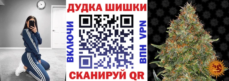 Конопля сатива Надым